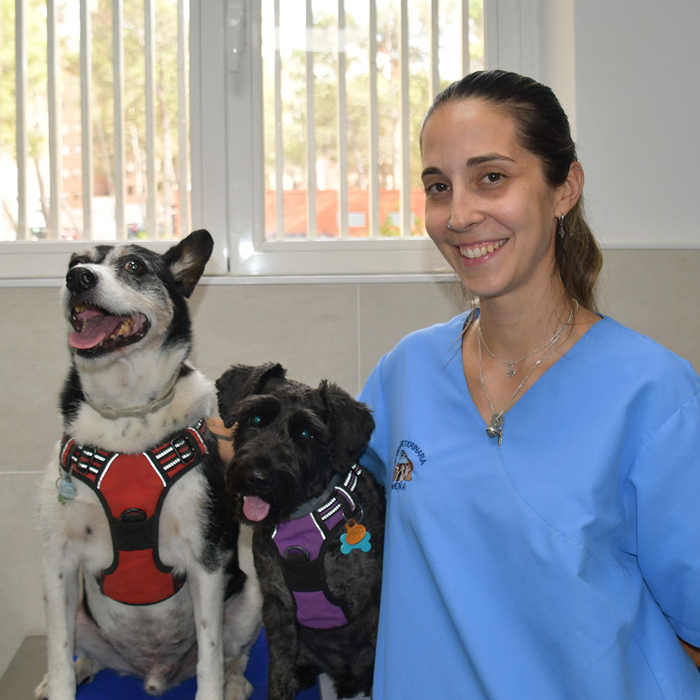Carolina Domingo - Equipo de Clínica Veterinaria Cobeña