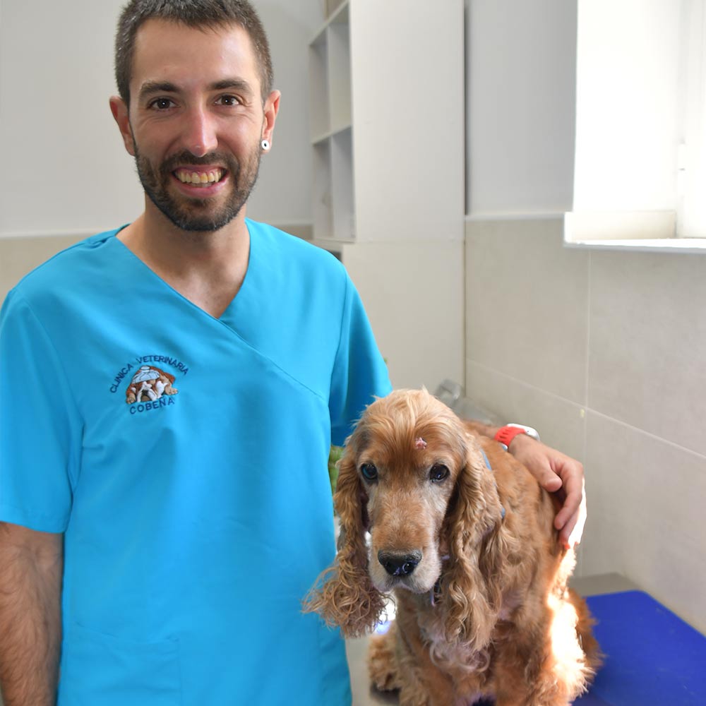 David Hípola - Equipo de Clínica Veterinaria Cobeña