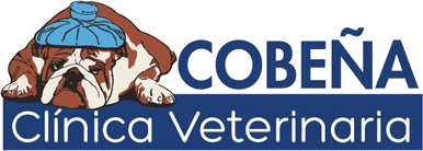 Clinica Veterinaria Cobeña