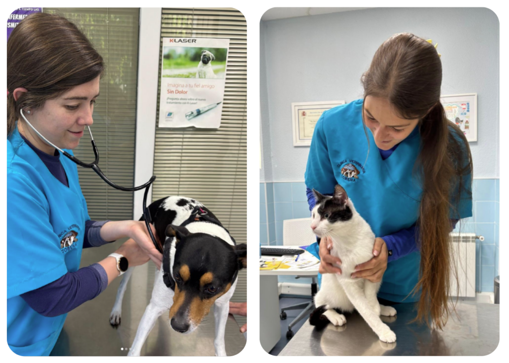 Clinica Veterinaria Cobeña Guadalajara